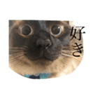 渋めなつなかん2（個別スタンプ：9）