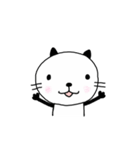 まんまるおねこ【毎日スタンプ】（個別スタンプ：1）