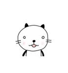 まんまるおねこ【毎日スタンプ】（個別スタンプ：5）
