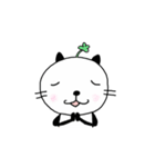 まんまるおねこ【毎日スタンプ】（個別スタンプ：17）