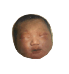 すみれだよ(幼少期)（個別スタンプ：4）