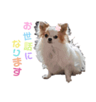 らむかいれいスタンプ2（個別スタンプ：3）