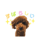 らむかいれいスタンプ2（個別スタンプ：6）