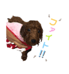 らむかいれいスタンプ2（個別スタンプ：9）