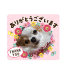 らむかいれいスタンプ2（個別スタンプ：14）