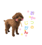 らむかいれいスタンプ2（個別スタンプ：15）