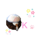 らむかいれいスタンプ2（個別スタンプ：16）