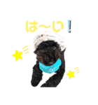 らむかいれいスタンプ2（個別スタンプ：21）