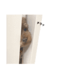 モコとクゥだよ（個別スタンプ：18）