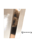 モコとクゥだよ（個別スタンプ：20）