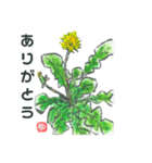 絵手紙風スタンプ（季節の花編）（個別スタンプ：3）