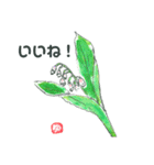 絵手紙風スタンプ（季節の花編）（個別スタンプ：6）