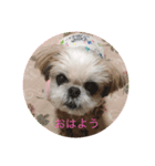大事なベル（個別スタンプ：1）