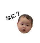 第一段＊こたろwith仲間たち（個別スタンプ：1）
