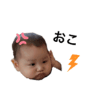 第一段＊こたろwith仲間たち（個別スタンプ：3）