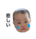 第一段＊こたろwith仲間たち（個別スタンプ：4）