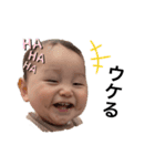 第一段＊こたろwith仲間たち（個別スタンプ：7）