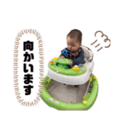 第一段＊こたろwith仲間たち（個別スタンプ：14）
