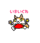 みけねこ あんみつちゃん（個別スタンプ：15）