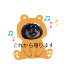黒チワワ！（個別スタンプ：6）