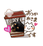 黒チワワ！（個別スタンプ：13）