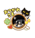 黒チワワ！（個別スタンプ：15）