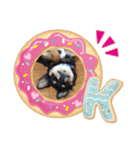 黒チワワ！（個別スタンプ：23）