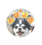 らぶくんのスタンプ（個別スタンプ：1）