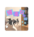らぶくんのスタンプ（個別スタンプ：2）