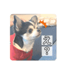 らぶくんのスタンプ（個別スタンプ：7）