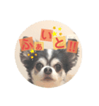 らぶくんのスタンプ（個別スタンプ：8）
