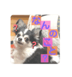 らぶくんのスタンプ（個別スタンプ：9）