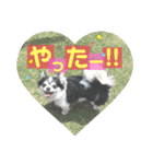 らぶくんのスタンプ（個別スタンプ：13）