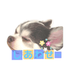 らぶくんのスタンプ（個別スタンプ：14）