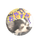 らぶくんのスタンプ（個別スタンプ：16）