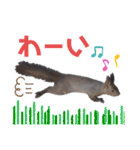 エゾリーのまいにち（個別スタンプ：2）