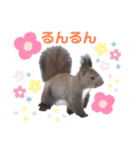 エゾリーのまいにち（個別スタンプ：8）