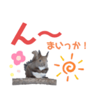 エゾリーのまいにち（個別スタンプ：17）