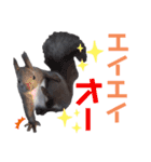 エゾリーのまいにち（個別スタンプ：35）