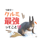 エゾリーのまいにち（個別スタンプ：36）