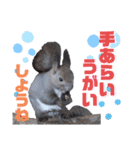 エゾリーのまいにち（個別スタンプ：37）