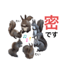 エゾリーのまいにち（個別スタンプ：38）