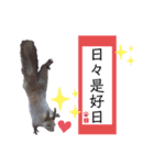 エゾリーのまいにち（個別スタンプ：39）