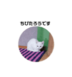 ちび太郎すたんぷ（個別スタンプ：1）