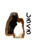 ちび太郎すたんぷ（個別スタンプ：8）