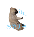 Callua（個別スタンプ：2）