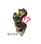 kinakoの犬好きスタンプ（個別スタンプ：2）