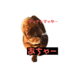 使いやすい猫さん（個別スタンプ：8）