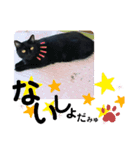 くろねこミユウ2（個別スタンプ：4）