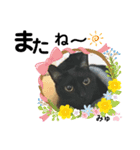 くろねこミユウ2（個別スタンプ：5）